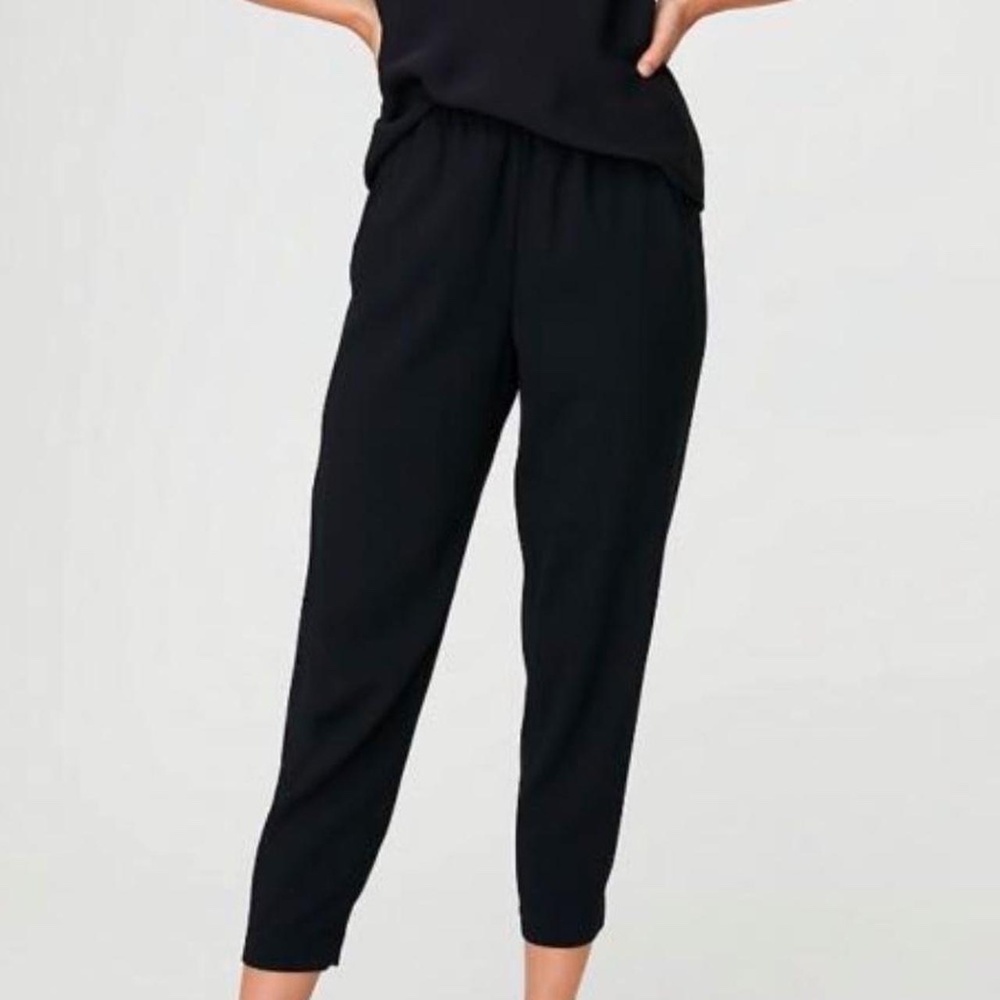 Aritzia Babaton "Dexter" Work Pant